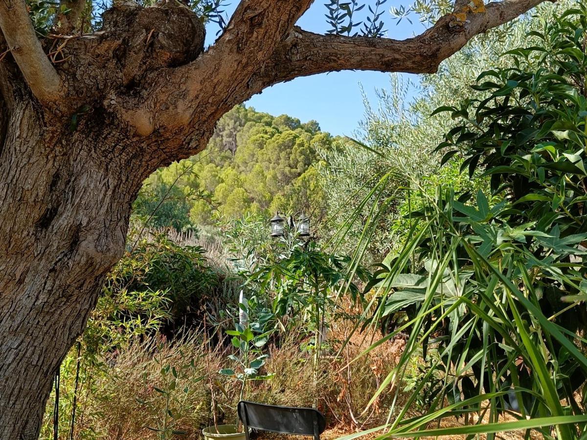Casa Serenity Alora Dış mekan fotoğraf