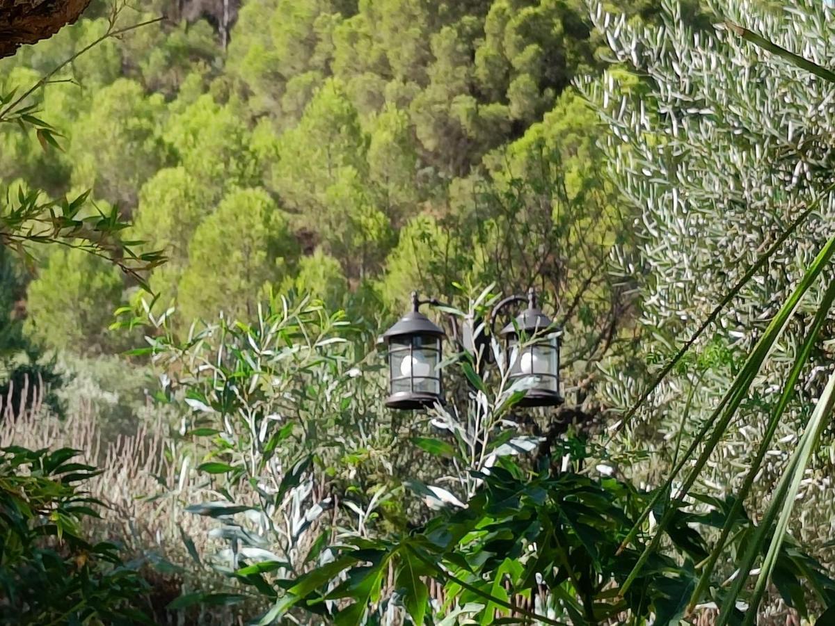Casa Serenity Alora Dış mekan fotoğraf