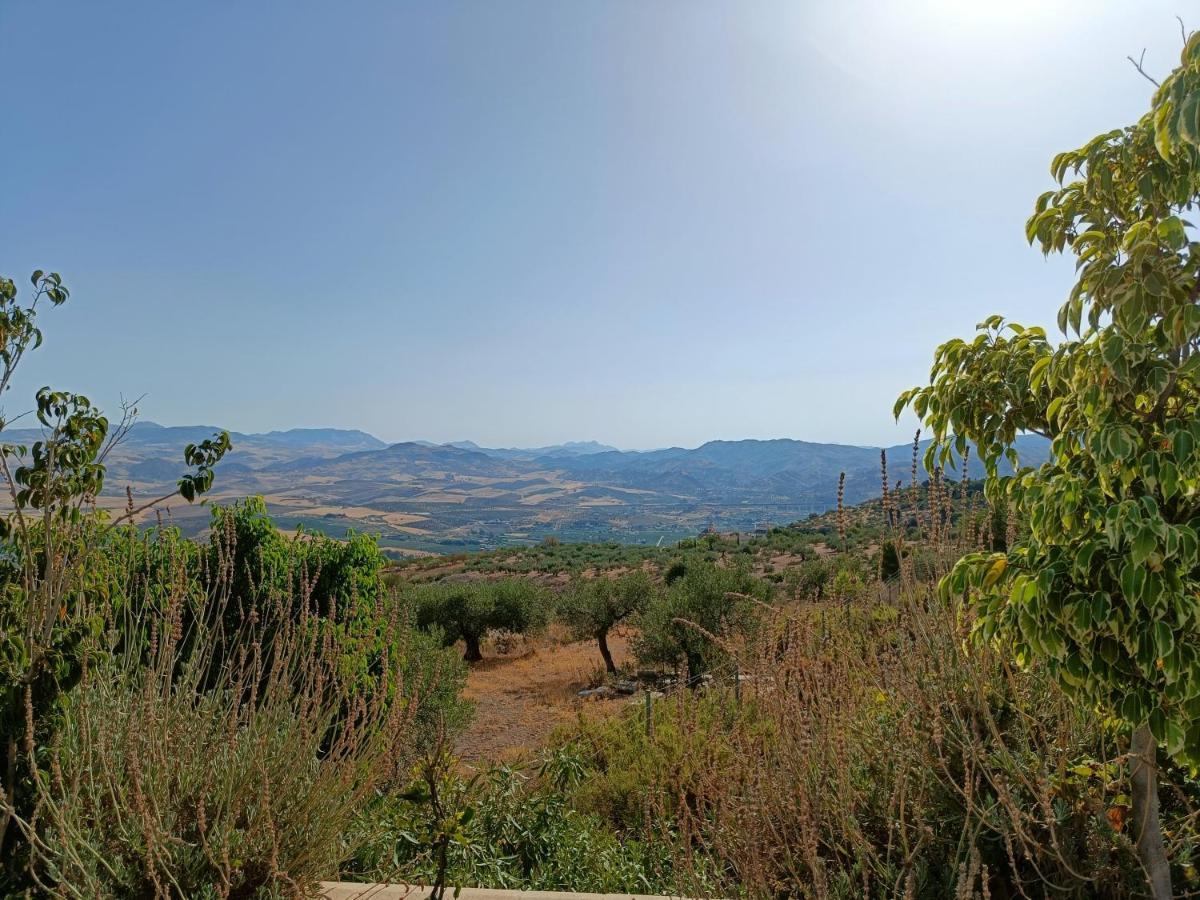 Casa Serenity Alora Dış mekan fotoğraf